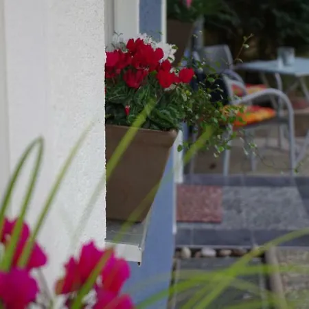 Apartment Taunus Im Grunen *